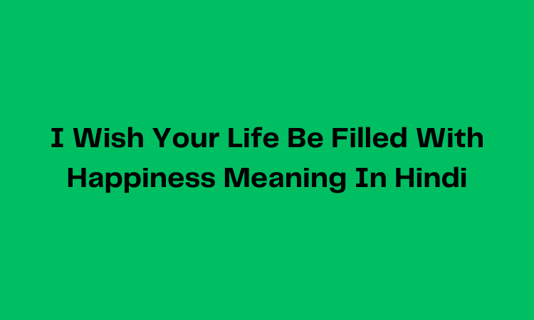 may your life full of joy and happiness meaning in hindi