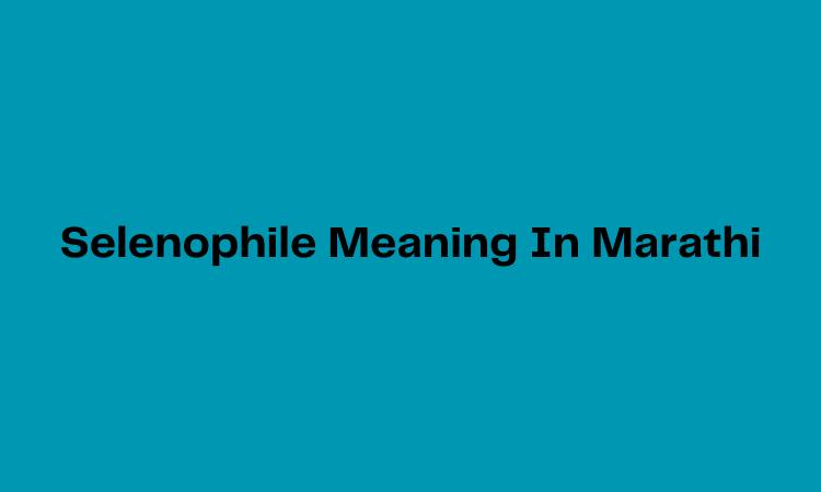 selenophile-meaning-in-marathi-meaning-in-hindi