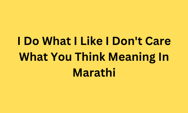 I Do What I Like I Don't Care What You Think Meaning In Marathi
