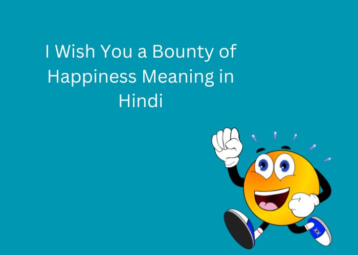 I Wish You a Bounty of Happiness Meaning in Hindi