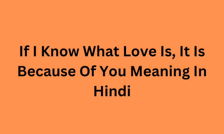 If I Know What Love Is, It Is Because Of You Meaning In Hindi