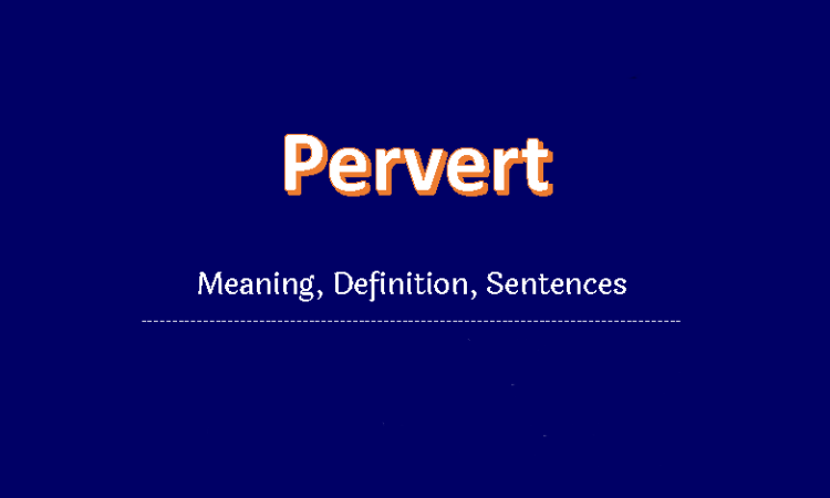 Pervert meaning in English