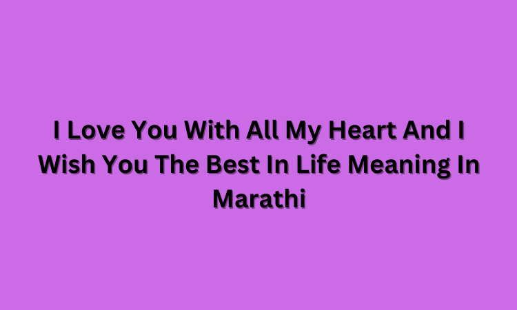 I Love You With All My Heart And I Wish You The Best In Life Meaning In Marathi