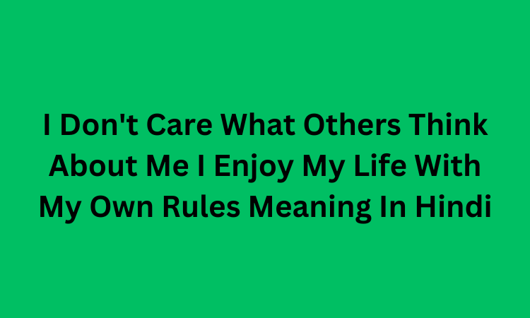 I Don't Care What Others Think About Me I Enjoy My Life With My Own Rules Meaning In Hindi