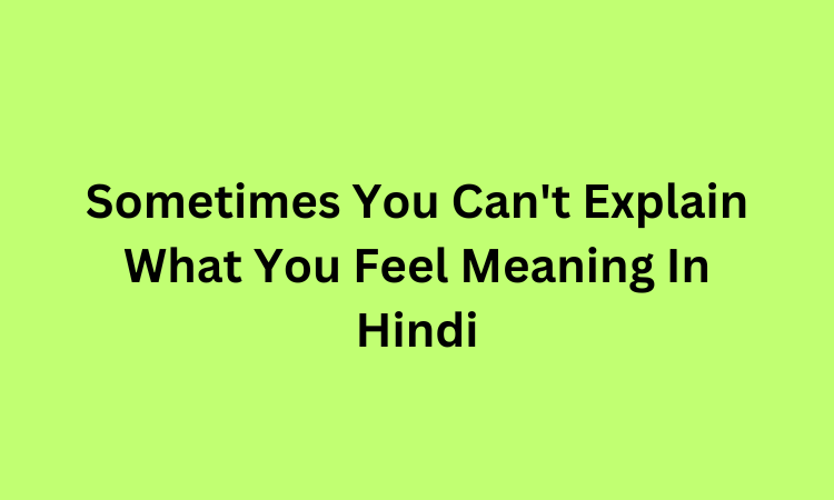 Sometimes You Can't Explain What You Feel Meaning In Hindi