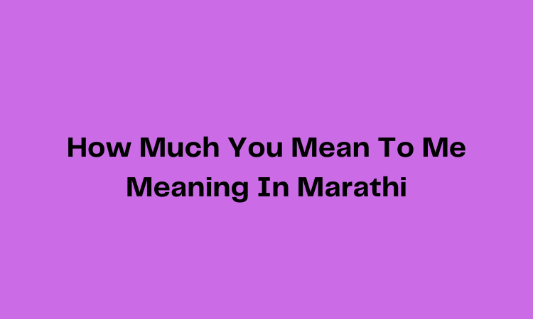 How Much You Mean To Me Meaning In Marathi