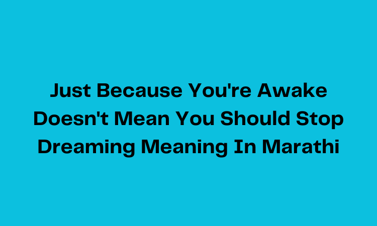 Just Because You're Awake Doesn't Mean You Should Stop Dreaming Meaning In Marathi