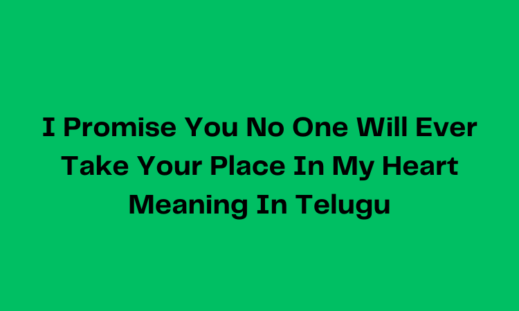 I Promise You No One Will Ever Take Your Place In My Heart Meaning In Telugu