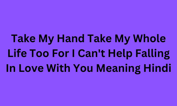 Take My Hand Take My Whole Life Too For I Can't Help Falling In Love With You Meaning Hindi