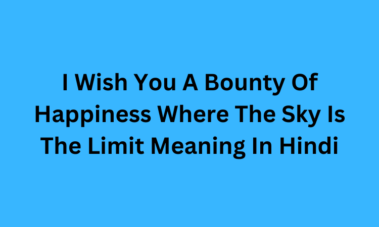 I Wish You A Bounty Of Happiness Where The Sky Is The Limit Meaning In Hindi