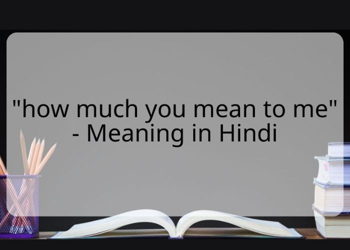 How much you mean to me | आसान मतलब हिंदी में | Indian Dictionary
