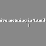 Archive meaning in Tamil | தமிழில் எளிதான அர்த்தம் | அகராதி