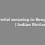 Essential meaning in Bengali | বাংলায় সহজ ব্যাখ্যা | Indian Dictionary