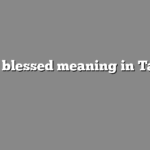 Stay blessed meaning in Tamil | தமிழில் எளிதான அர்த்தம்