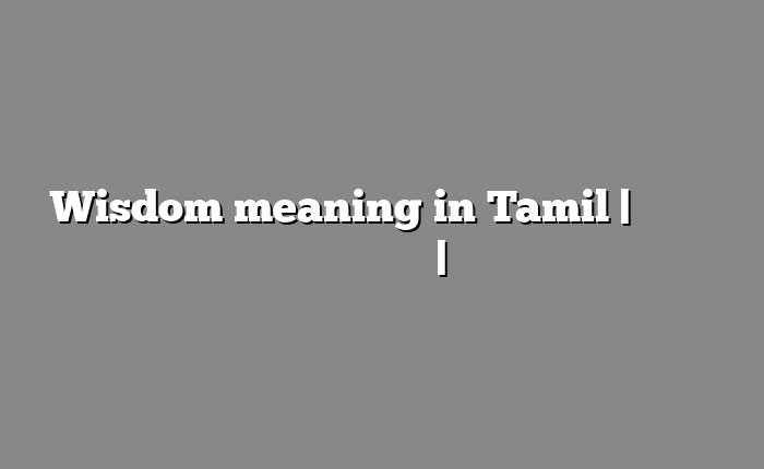 Wisdom meaning in Tamil | தமிழில் எளிதான அர்த்தம் | அகராதி