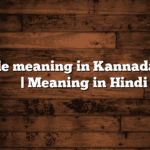 Abide meaning in Kannada | ಸುಲಭ ಅರ್ಥ | Meaning in Hindi