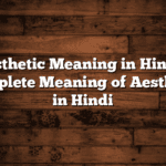 Aesthetic Meaning in Hindi – Complete Meaning of Aesthetic in Hindi