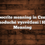 Hypocrite meaning in Czech | Jednoduché vysvětlení | Hindi Meaning