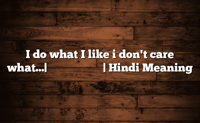 I do what I like i don't care what…| सोपा अर्थ मराठीत | Hindi Meaning