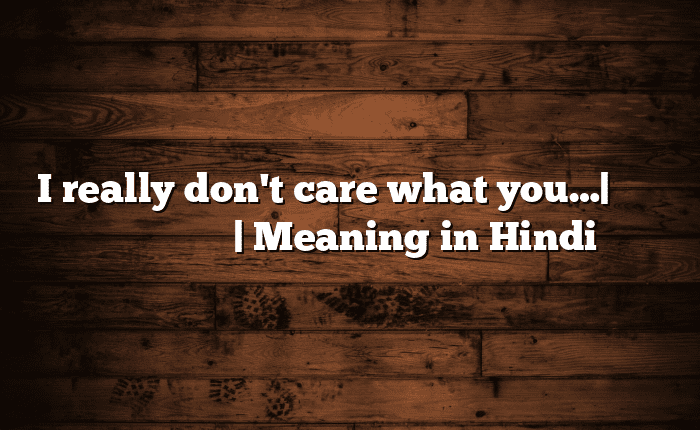 I really don't care what you…| सोपा अर्थ मराठीत | Meaning in Hindi