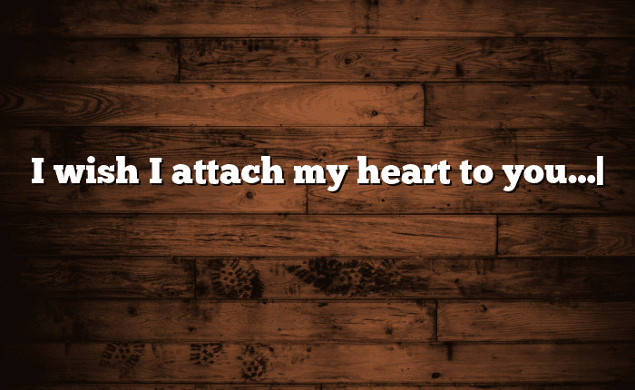 I wish I attach my heart to you…| आसान मतलब हिंदी में