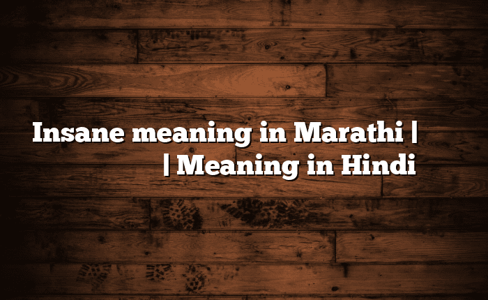 Insane meaning in Marathi | सोपा अर्थ मराठीत | Meaning in Hindi