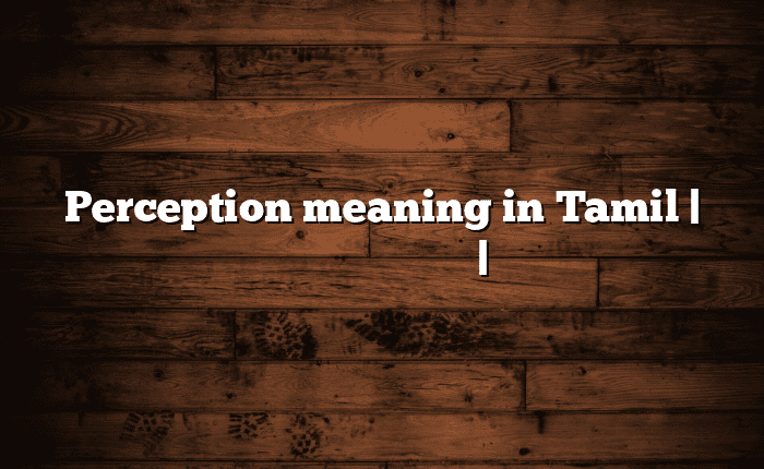 Perception meaning in Tamil | தமிழில் எளிதான அர்த்தம் | அகராதி