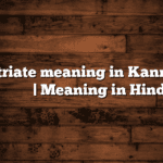 Repatriate meaning in Kannada | ಸುಲಭ ಅರ್ಥ | Meaning in Hindi