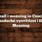 Shall i meaning in Czech | Jednoduché vysvětlení | Hindi Meaning