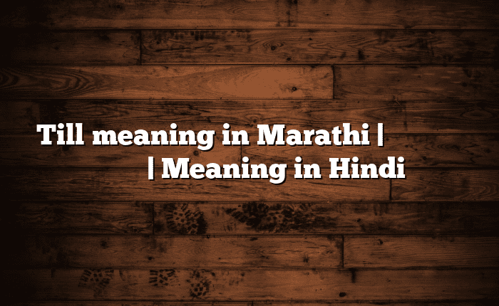 Till meaning in Marathi | सोपा अर्थ मराठीत | Meaning in Hindi