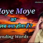 Moye Moye Meaning in Hindi – Understand the Meaning of Moye Moye