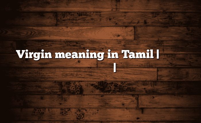 Virgin meaning in Tamil | தமிழில் எளிதான அர்த்தம் | அகராதி