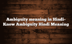 Ambiguity meaning in Hindi– Know Ambiguity Hindi Meaning